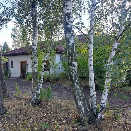 Ferienwohnung GNUBBEL Weißwasser/Oberlausitz Exterior foto
