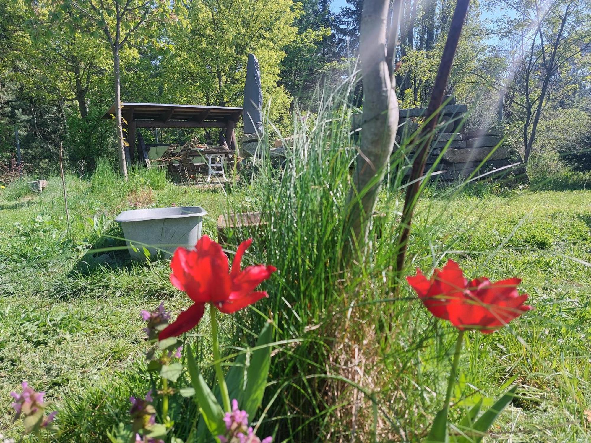 Ferienwohnung GNUBBEL Weißwasser/Oberlausitz Exterior foto